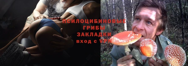 а пвп мука Богданович