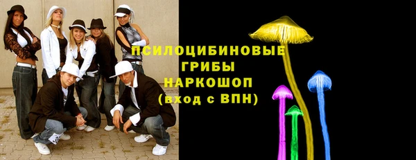 а пвп мука Богданович