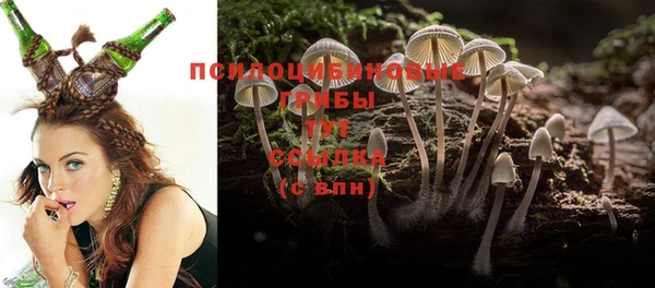 а пвп мука Богданович
