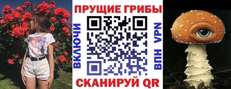 Псилоцибиновые грибы прущие грибы  hydra ТОР  Обоянь 
